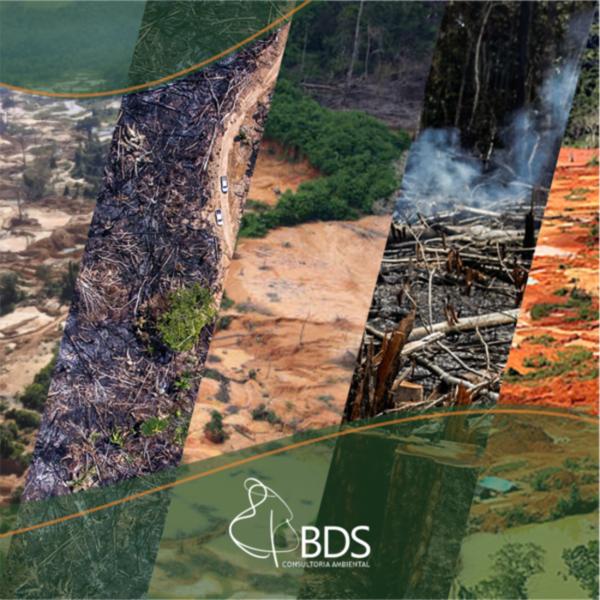 Consultoria ambiental rs