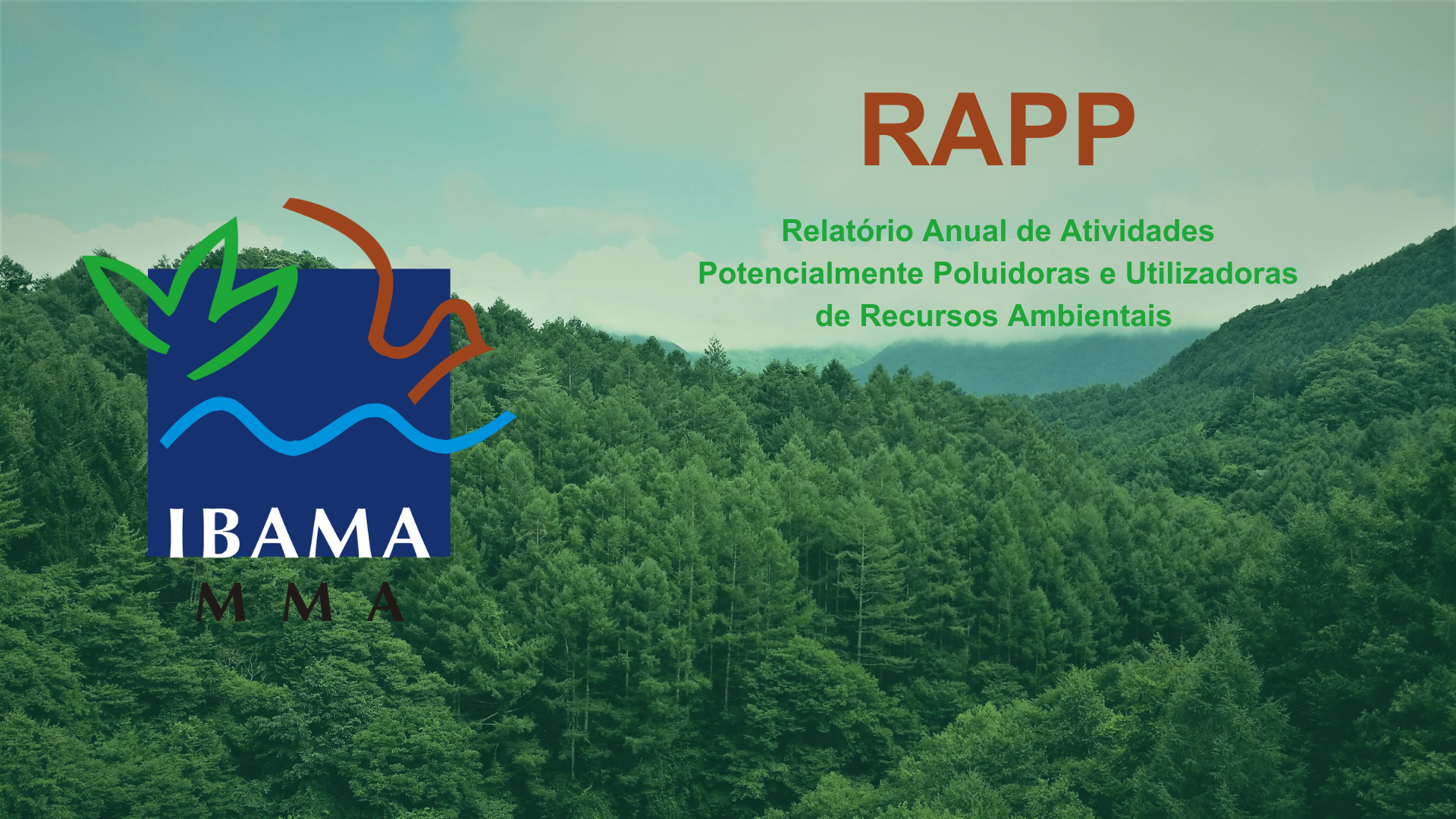 RAPP do IBAMA: Sua Empresa Está em Dia com Essa Obrigação Ambiental?