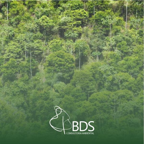 Licenciamento ambiental para desmatamento