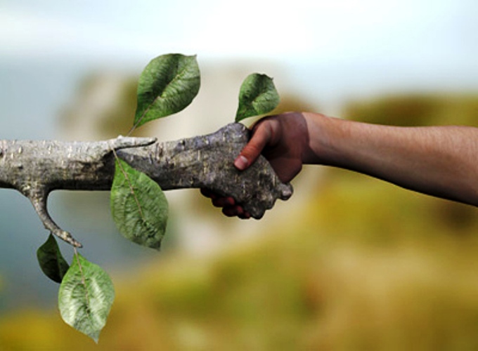Após o Dia do Meio Ambiente, que tal olhar com mais atenção para a gestão ambiental da sua empresa?