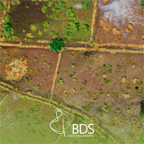 Orçamento licenciamento ambiental